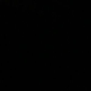 Meet your Posher, Bianca